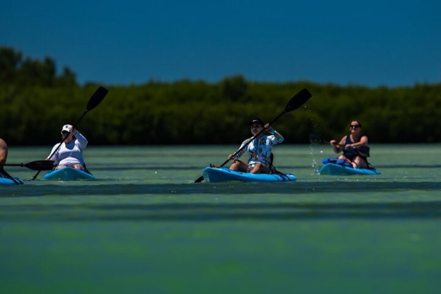 Visit Tierra Verde Kayak Tour at Shell Key with Capt Yak in St. Petersburg, Florida