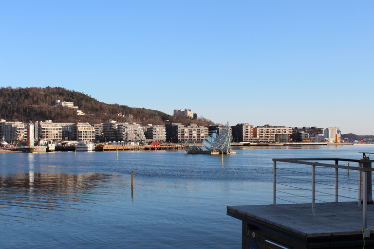 Oslo's kunst en cultuur onthuld door een local