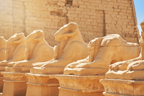 Zatoka Makadi: Wycieczka do Luksoru i Doliny Królów z lunchem