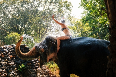 Safari w dżungli Chitwan z kąpielą słoni (ekskluzywna wycieczka)