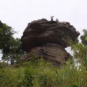 Aburi Botanical Gardens & Cocoa Farm Tour