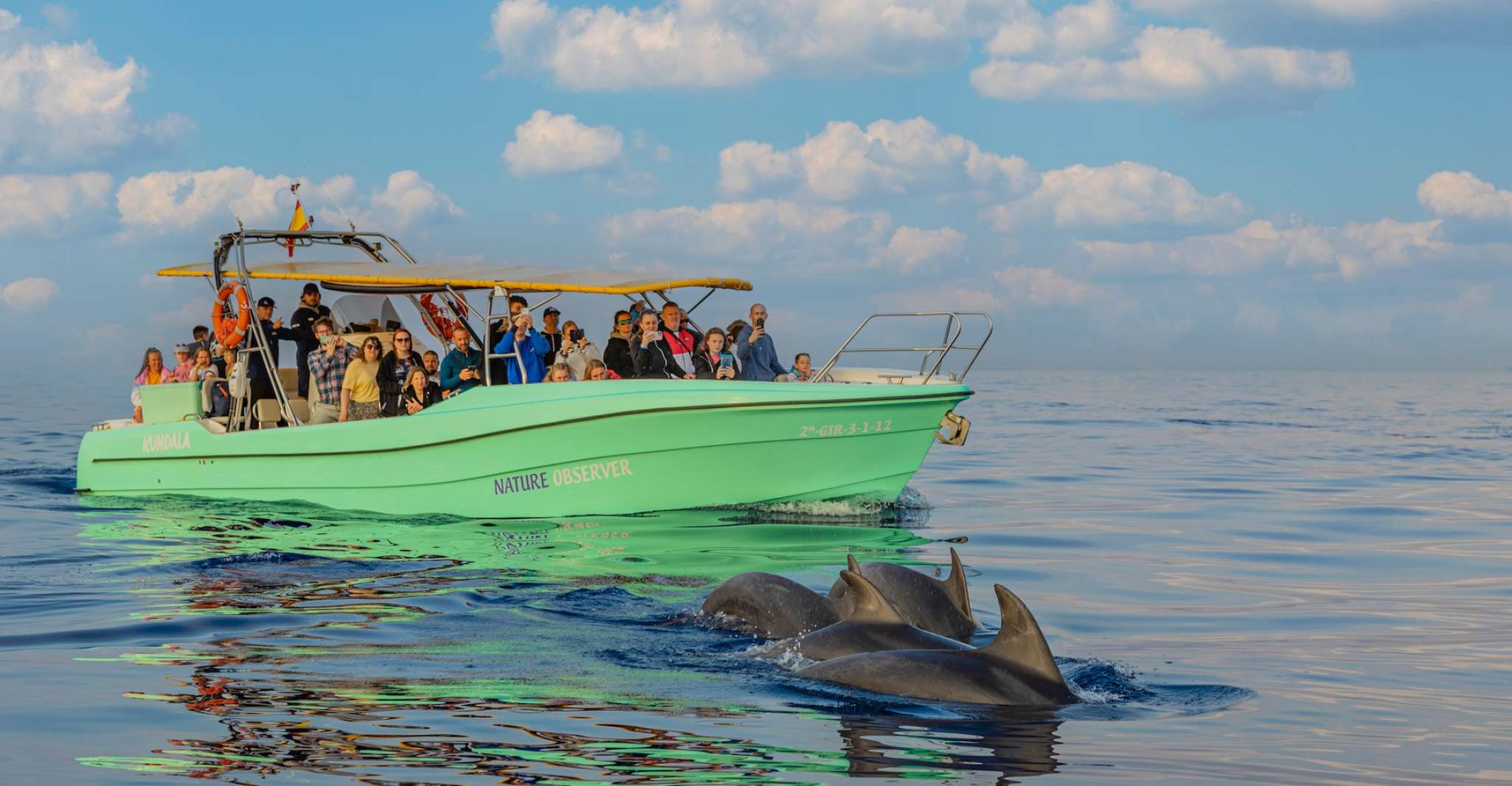 From Alcudia, Sunrise Dolphin Watching Boat Tour - Housity