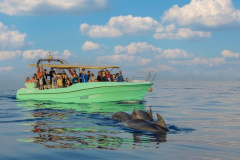 Alcudia : Excursion en bateau pour observer les dauphins et le lever du soleil en petit groupeAlcudia : Dauphins et lever de soleil en petit groupe