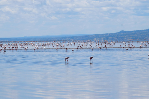 Arusha: Lake Natron Day Trip (Lake Walk &amp; Waterfall Hike)