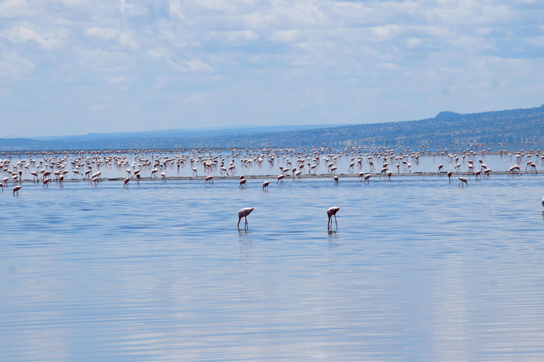 Arusha: Lake Natron Day Trip (Lake Walk &amp; Waterfall Hike)