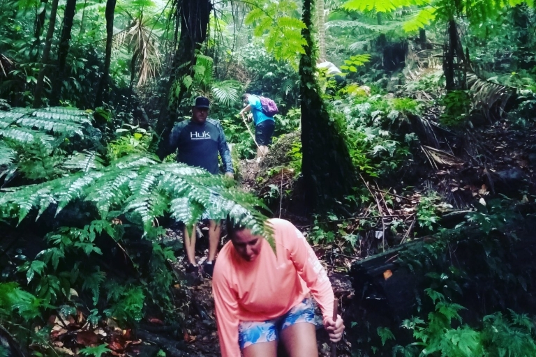 Malownicza wędrówka po lesie deszczowym
