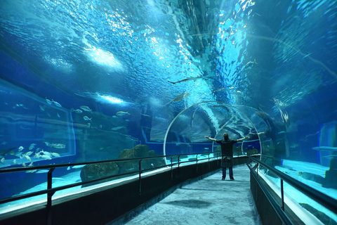 Rio de Janeiro: Marine Aquarium Entry Tickets