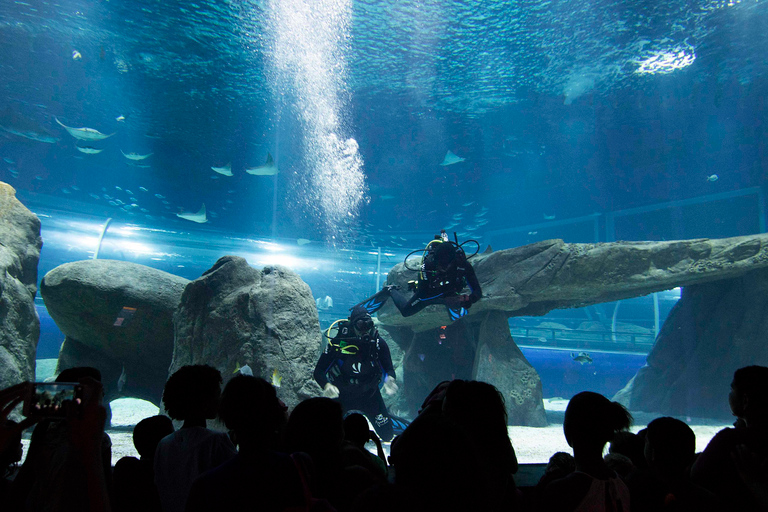 Rio de Janeiro: Marine Aquarium Entry Tickets