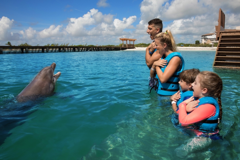 Swim with dolphins Supreme - Playa Mujeres
