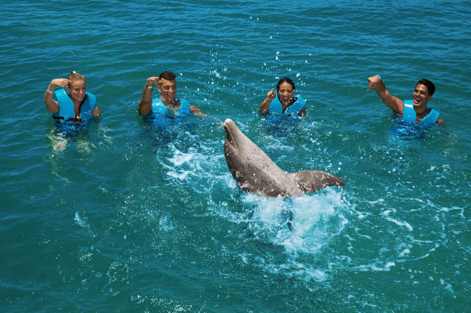 Nager avec les dauphins Suprême - Playa Mujeres | GetYourGuide