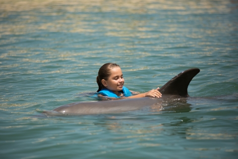 Nado con delfines Paseo - Punta Cancun