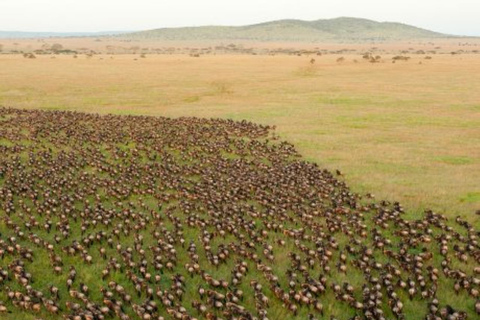 3 Days Maasai Mara Small Group Safari