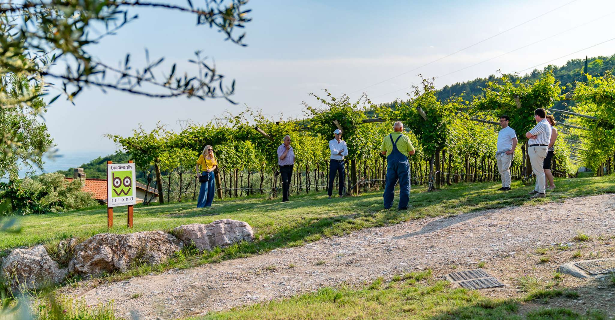 Fumane, begeleid eten en wijnproeverijen met Vineyard Tour - Housity