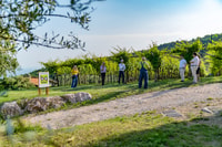Fumane, begeleid eten en wijnproeverijen met Vineyard Tour - Housity