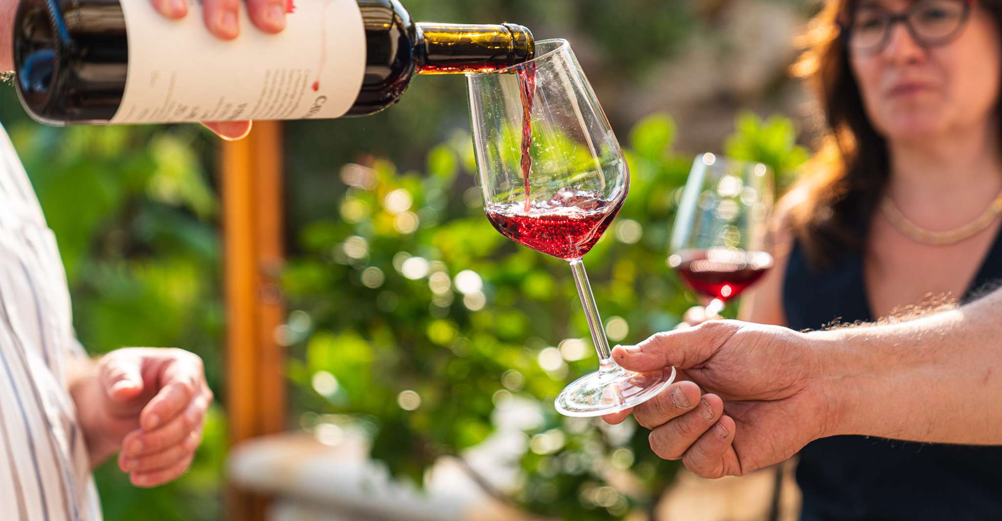 Fumane, begeleid eten en wijnproeverijen met Vineyard Tour - Housity