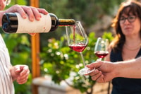 Fumane, begeleid eten en wijnproeverijen met Vineyard Tour - Housity