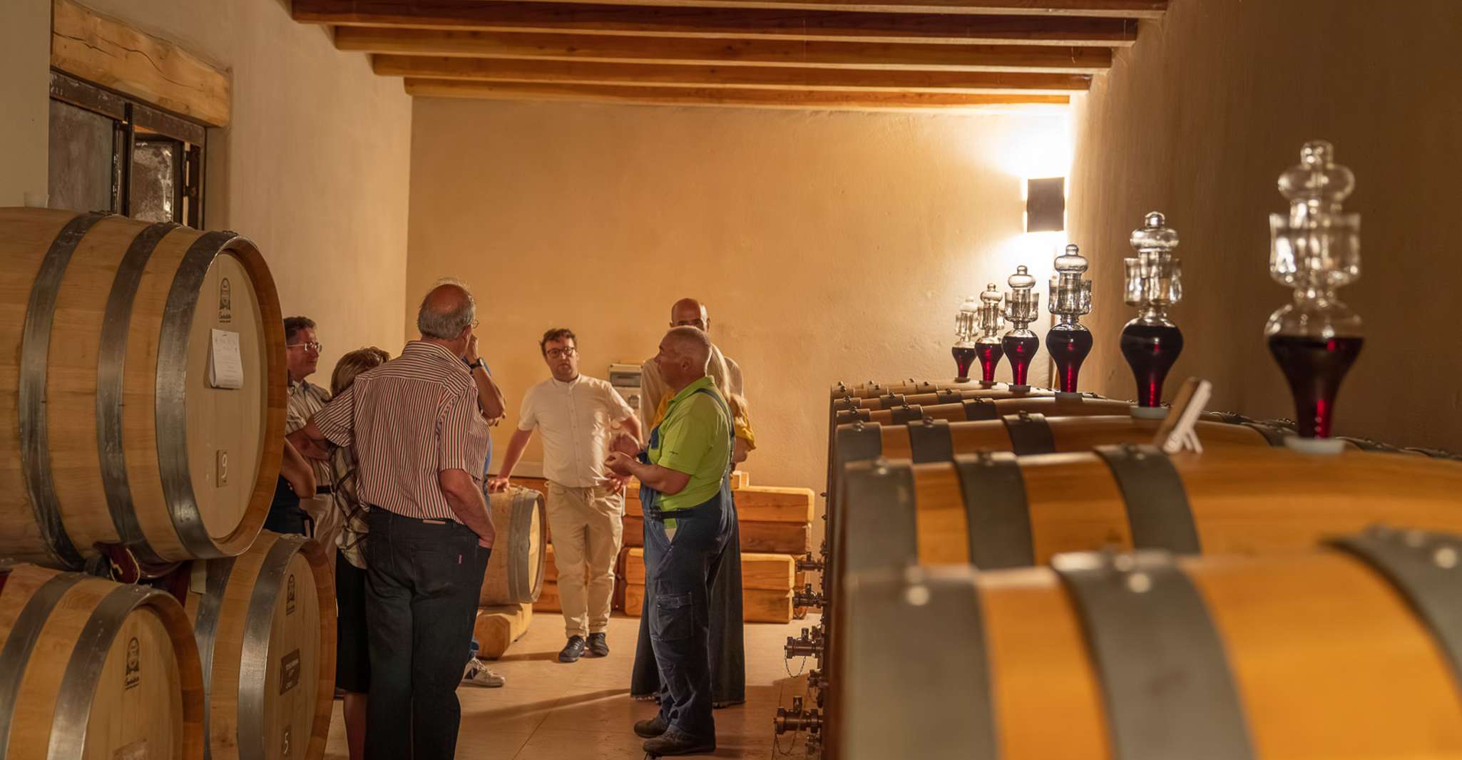 Fumane, begeleid eten en wijnproeverijen met Vineyard Tour - Housity