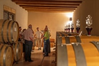 Fumane, begeleid eten en wijnproeverijen met Vineyard Tour - Housity
