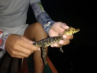 visit yagua indigenous community - Housity