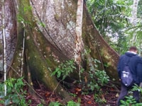 visit yagua indigenous community - Housity