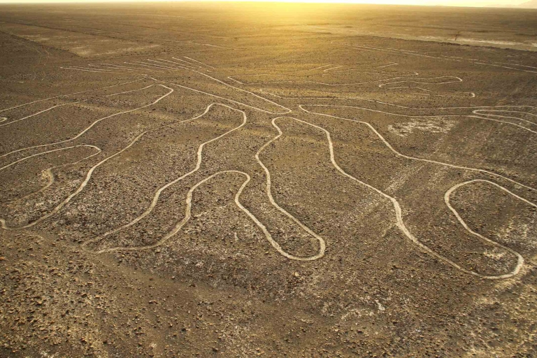 Nazca : Vol panoramique au-dessus des lignes de Nazca