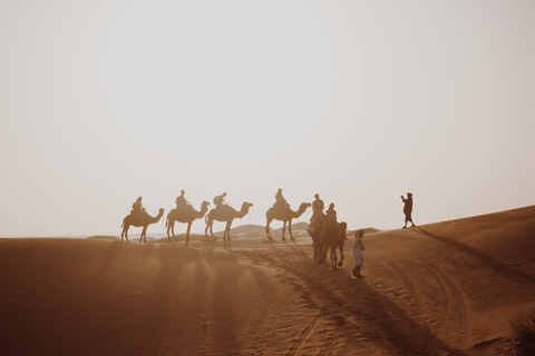 Wadi Rum: kameelrit van 2 uur bij zonsondergang/zonsopgang met overnachting