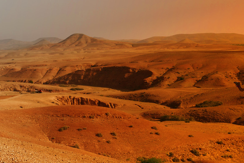 De Marrakech: Viagem de 1 dia para as Montanhas Atlas com almoço