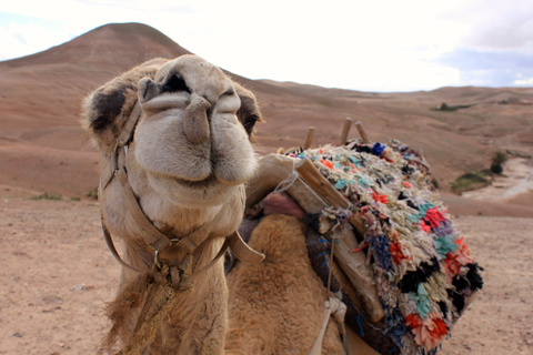 De Marrakech: Viagem de 1 dia para as Montanhas Atlas com almoço