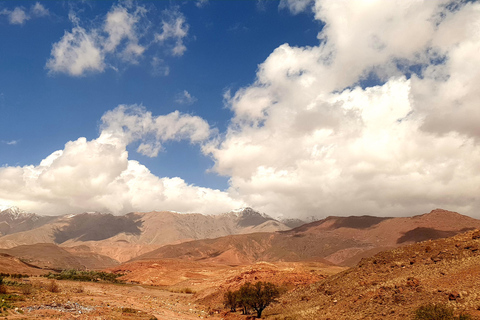 De Marrakech: Viagem de 1 dia para as Montanhas Atlas com almoço