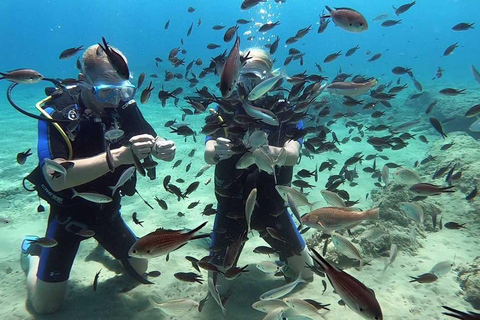 Heraklion: Lección de buceo para principiantes con instructor PADIInmersión para principiantes en la bahía de Agia pelagia - Sin traslado