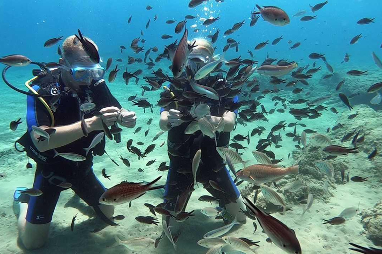 Heraklion: Lección de buceo para principiantes con instructor PADIInmersión para principiantes en la bahía de Agia pelagia - Sin traslado