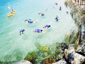 Gold Coast: Kajakpaddling och snorkling med fiskmatning