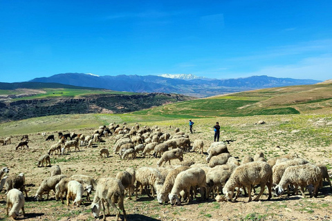 Montañas del Atlas: Pueblos Bereberes, Cascadas y Paseo en Camello