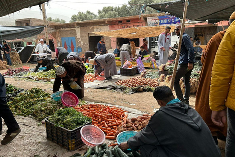 Montagnes de l'Atlas : Villages berbères, cascades et randonnées à dos de chameau