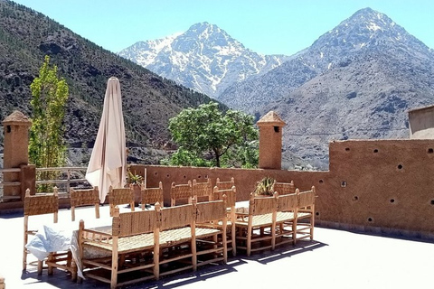 Atlas Mountains: Berber Villages, Waterfalls & Camel Ride