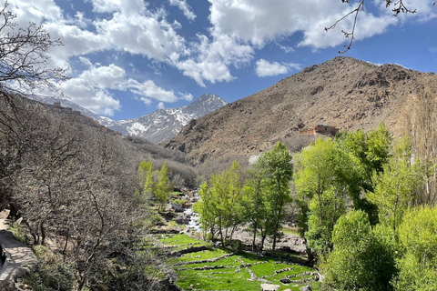 Montañas del Atlas: Pueblos Bereberes, Cascadas y Paseo en Camello