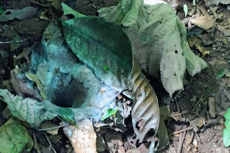 Khao Sok Jungle Day Trip - Jungle Trekking & Bamboo Rafting