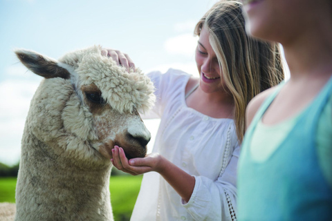 Rotorua: passeio pela fazenda Agrodome com exposição e degustação de produtosRotorua: Tour pela fazenda Agrodome com show e degustação de produtos