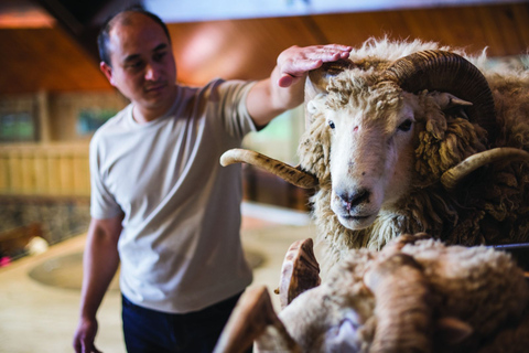 Rotorua: passeio pela fazenda Agrodome com exposição e degustação de produtosRotorua: Tour pela fazenda Agrodome com show e degustação de produtos