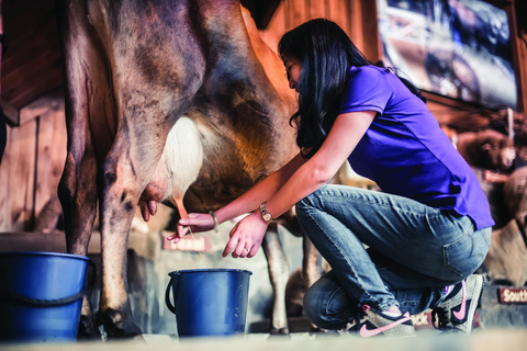 Rotorua : Visite de la ferme Agrodome avec spectacle et dégustation de produits