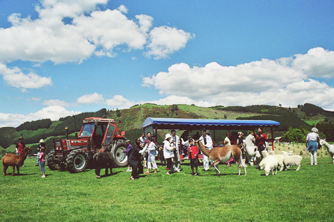 Rotorua: Agrodome-boerderijtour met show- en productenproeverijRotorua: Agrodome boerderij tour met show en proeverij