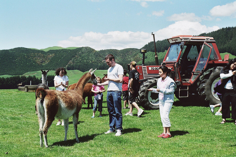 Rotorua : Visite de la ferme Agrodome avec spectacle et dégustation de produits