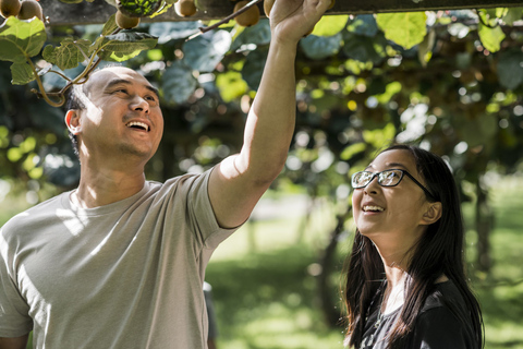 Rotorua: Agrodome Farm Tour with Show and Produce Tasting