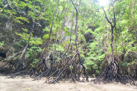 Khao Lak: Phang-Nga Bay Sunrise Trip by VIP Longtail boat