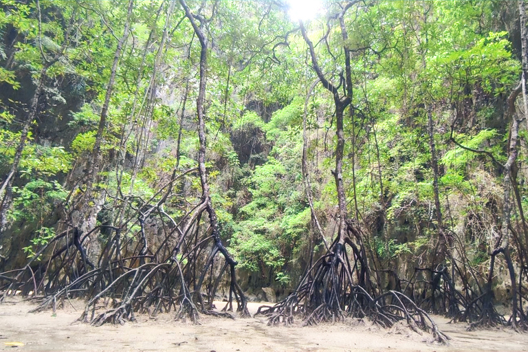 Khao Lak: Phang-Nga Bay Sunrise Trip by VIP Longtail boat