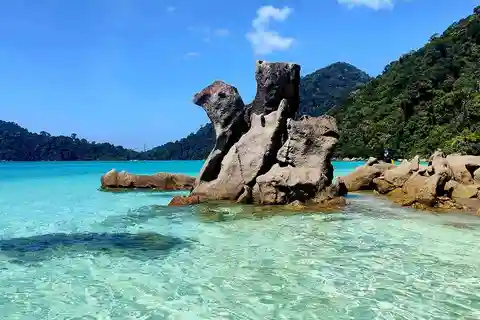 Khao Lak : Excursion de plongée en apnée dans les îles Surin en speedcatamaran
