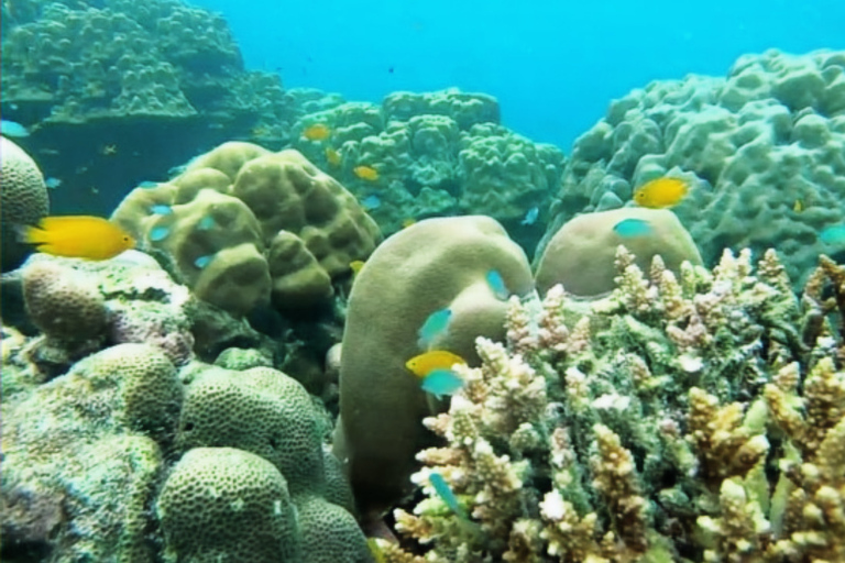 Early Bird Surin Islands Snorkeling Trip maximum 24 p.