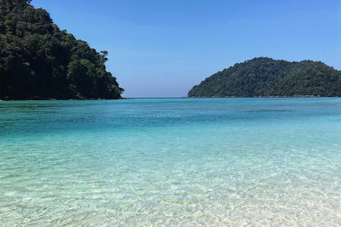 Early Bird Surin Islands Snorkeling Trip maximum 24 p.