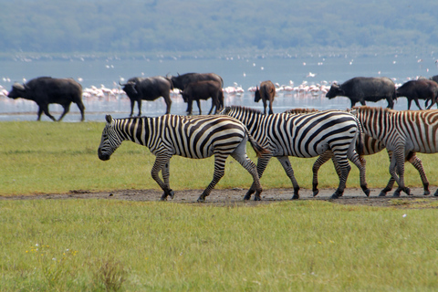 Excursión privada de un día al parque del Lago Nakuru y opción de paseo en barcoExcursión privada de un día al parque del Lago Nakuru