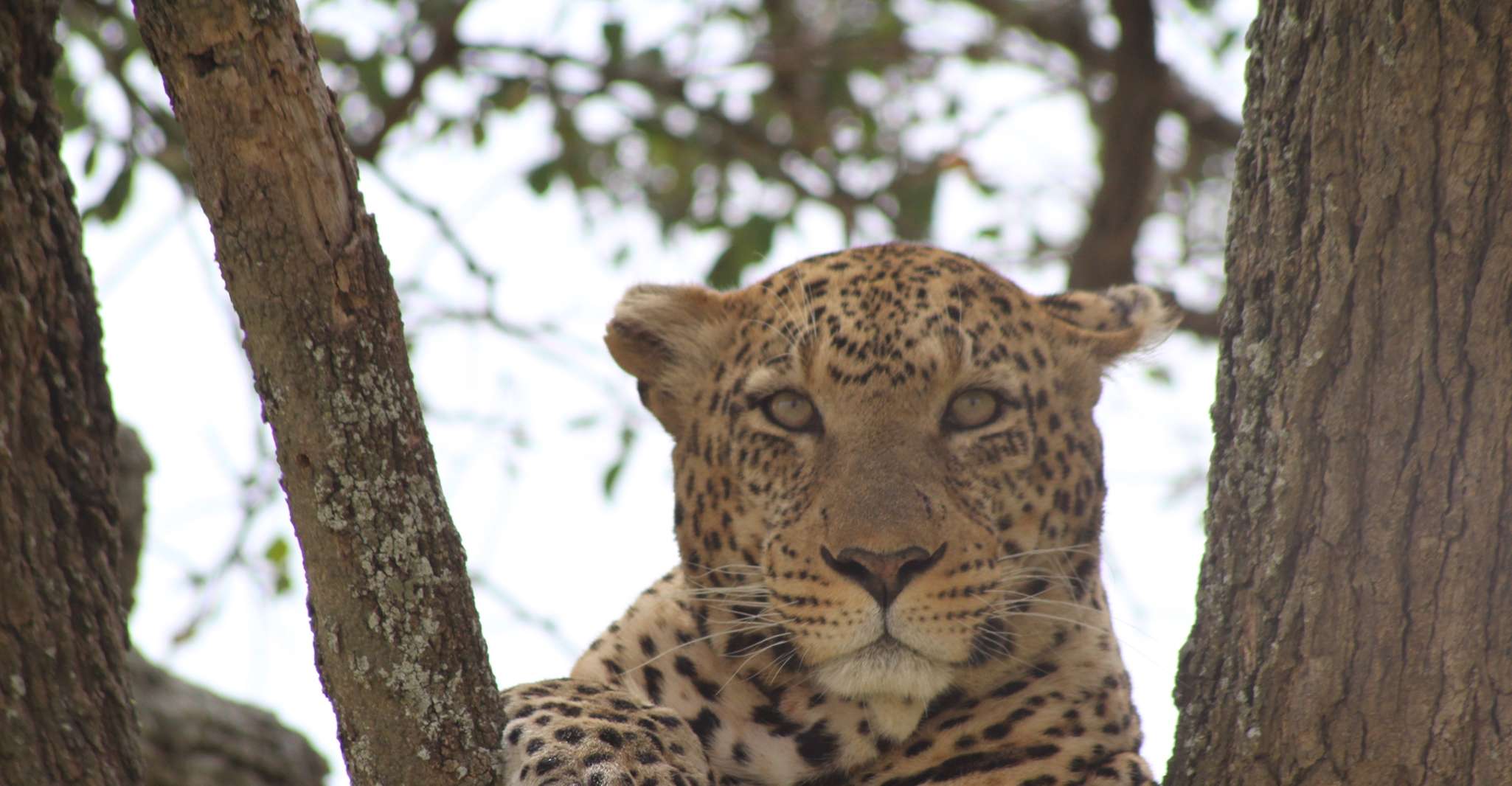 (بآلاف دولارات تنزانيا) - Hizvo